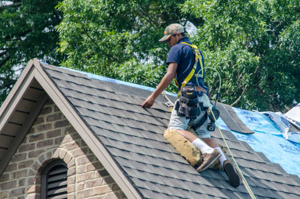Roof Waterproofing Services in Colfax, CA